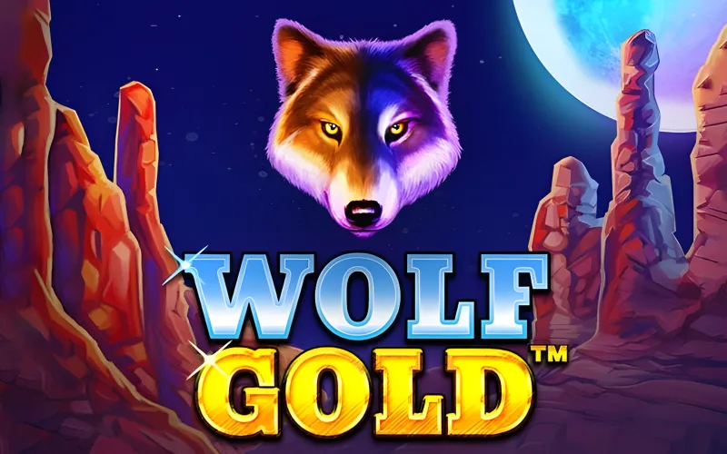 Solid base game hits in Wolf Gold at Ricky Casino.