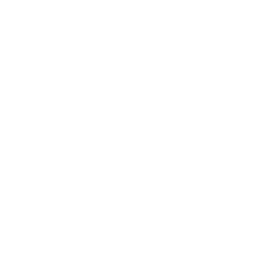 Bank Transfer logo.