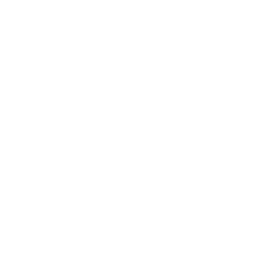 Betsoft logo.