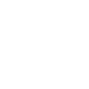 Bgaming logo.