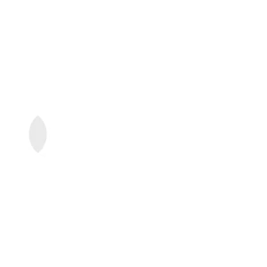 Mastercard logo.