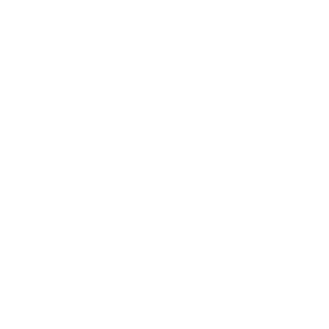 Neteller logo.