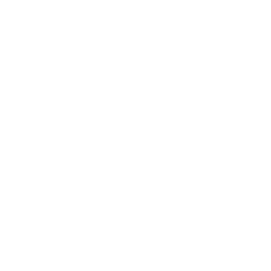 Play'n Go logo.