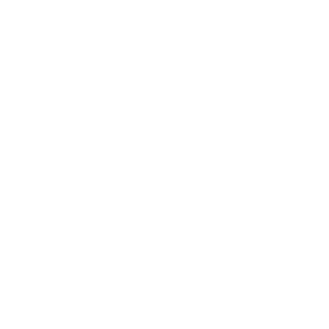 Rapid transfer logo.