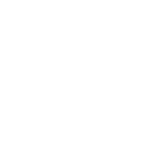 Red Tiger logo.